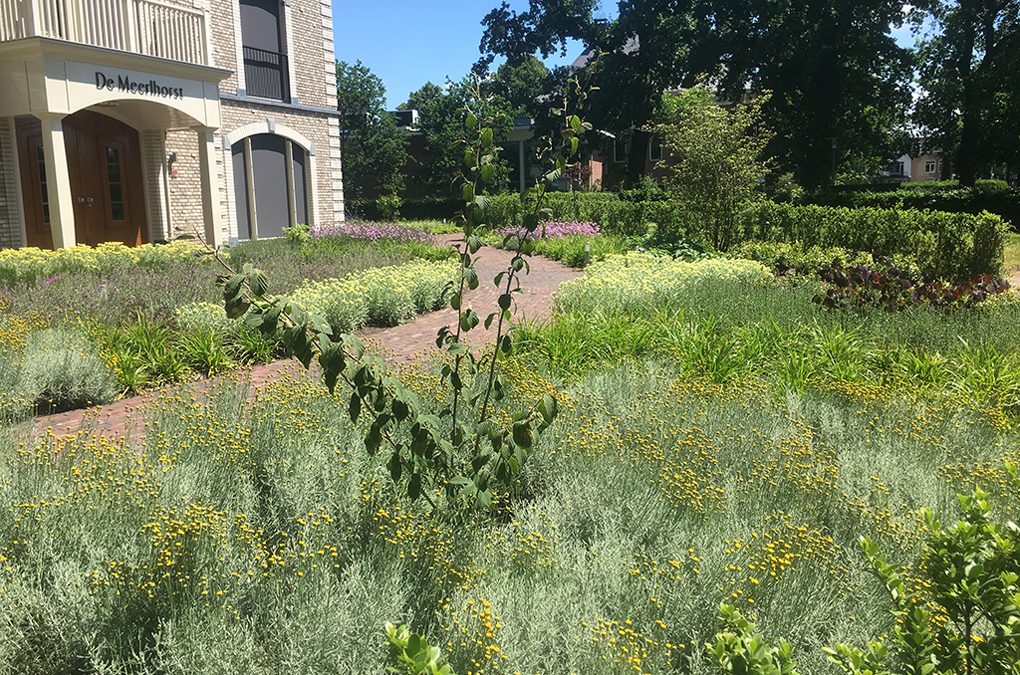Klassieke tuin zorgvilla ‘De Meerlhorst’