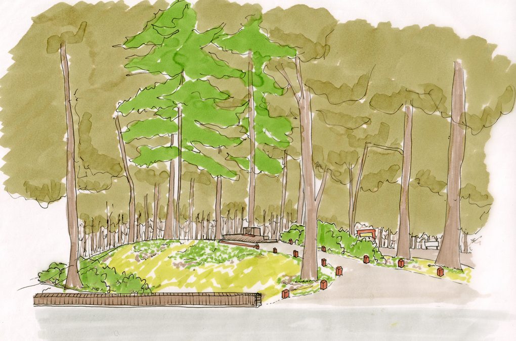 Herstel cultuurhistorische elementen Zeisterbos