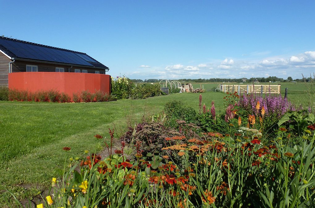 Landelijke ‘veenweide’ tuin